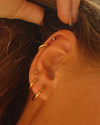 Everyday Gold Hoops